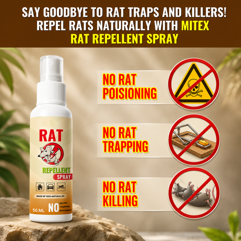 Wipzy™ Rat Repellent Spray – Safe, Effective, and Eco-friendly
